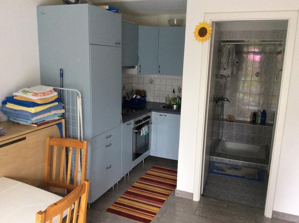Apartment Alina Sigirino Екстериор снимка